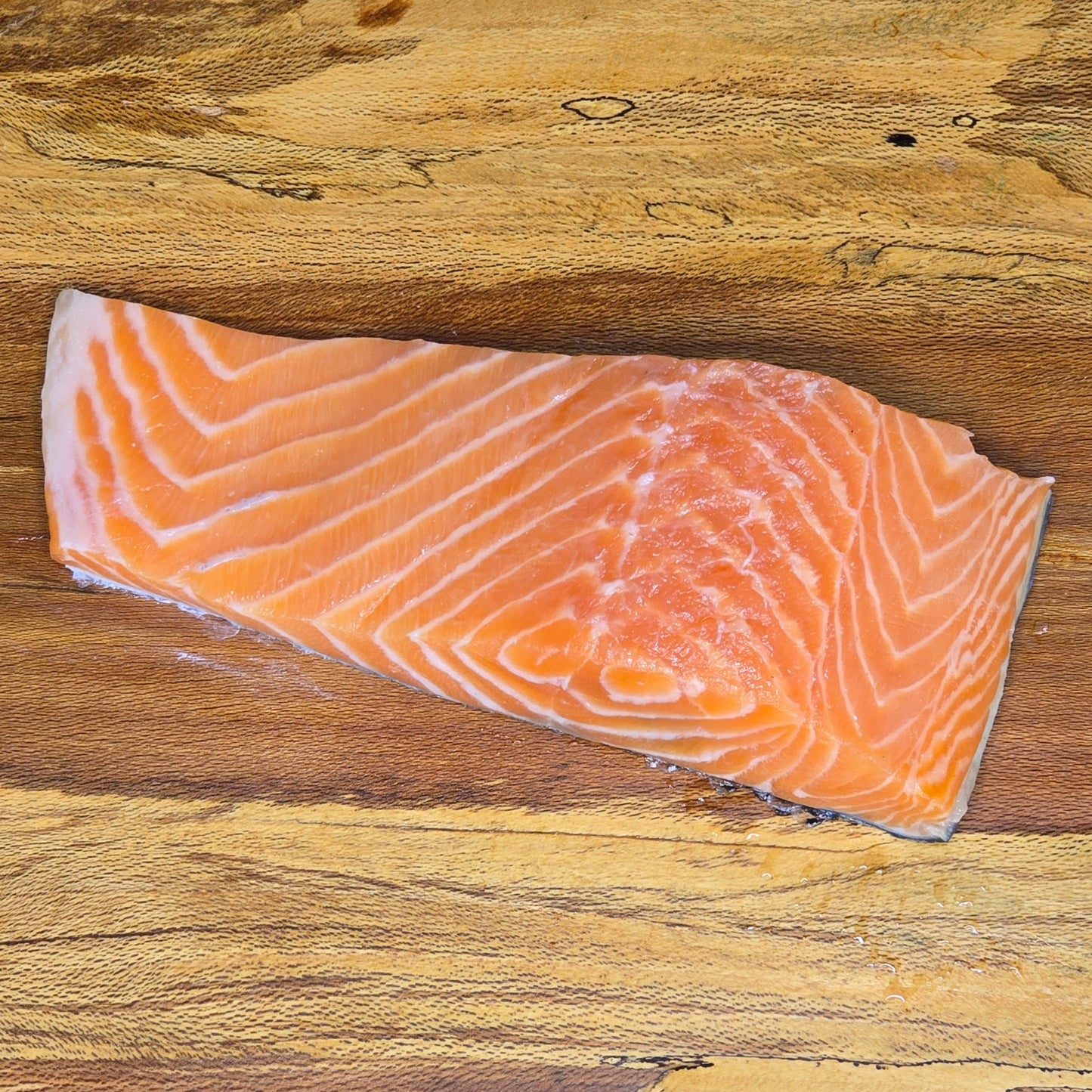 Salmon