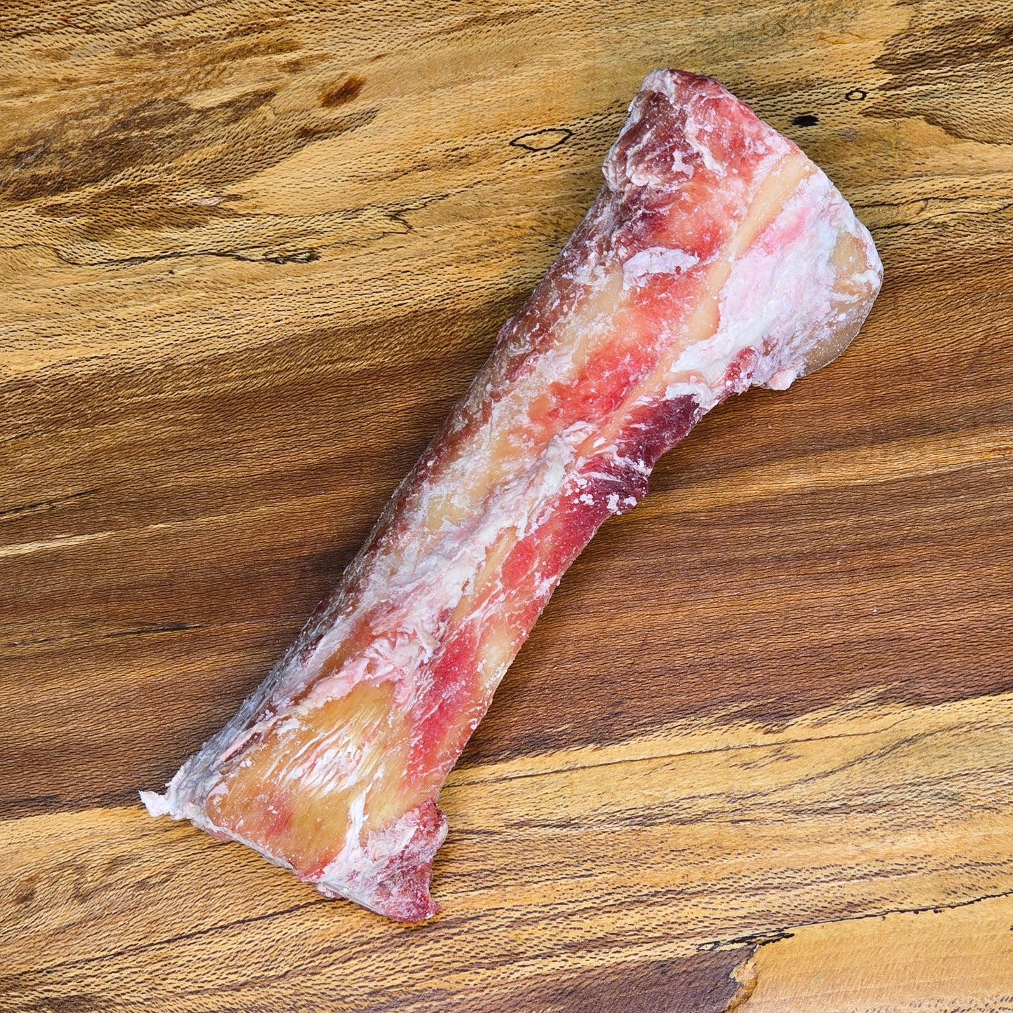 Beef Femur Bone