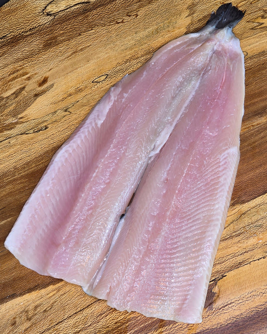 Rainbow Trout